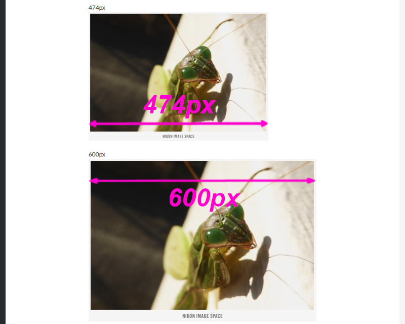 コンテンツの幅